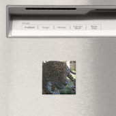 ジャガー マグネット (インサイチュ (食洗機))