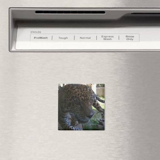 ジャガー マグネット (インサイチュ (食洗機))