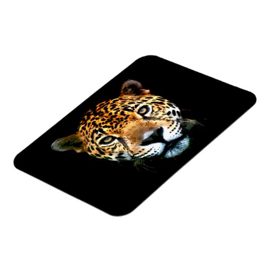 ジャガー マグネット (左側)