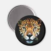 ジャガー マグネット (正面/裏面)