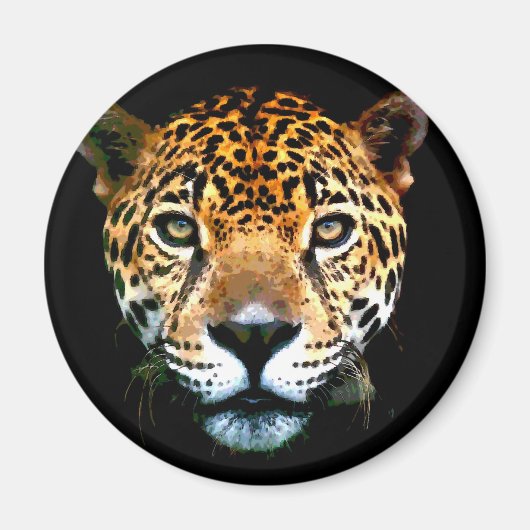 ジャガー マグネット (正面)