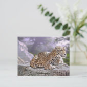 ジャガー・マヤン寺院 ポストカード (スタンド正面)