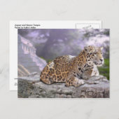 ジャガー・マヤン寺院 ポストカード (正面/裏面)