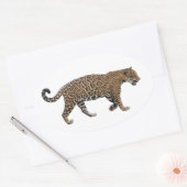 ジャガー 楕円形シール (封筒)