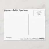 ジャガー# 13 ポストカード (裏面)