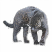 ジャガーDiabloコンターステッカー シール (正面)