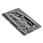 ジャガーE型 マグネット (右側)