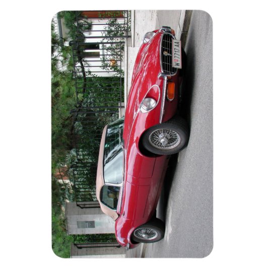 ジャガーE マグネット (縦)