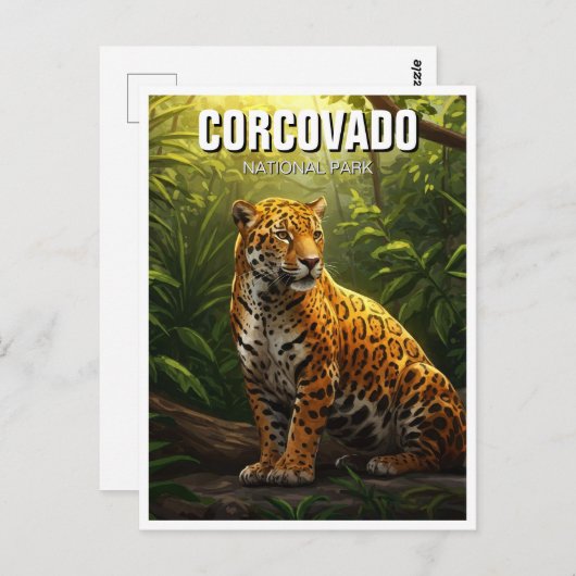 ジャガーinコルコバド国立公園コスタリカ ポストカード (正面/裏面)