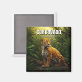 ジャガーinコルコバド国立公園コスタリカ マグネット (正面/裏面)