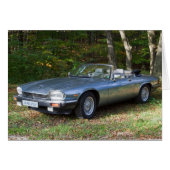 ジャガーXJS V12カブリオレ (正面横)