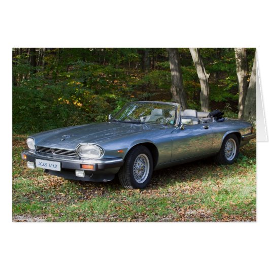 ジャガーXJS V12カブリオレ (正面横)