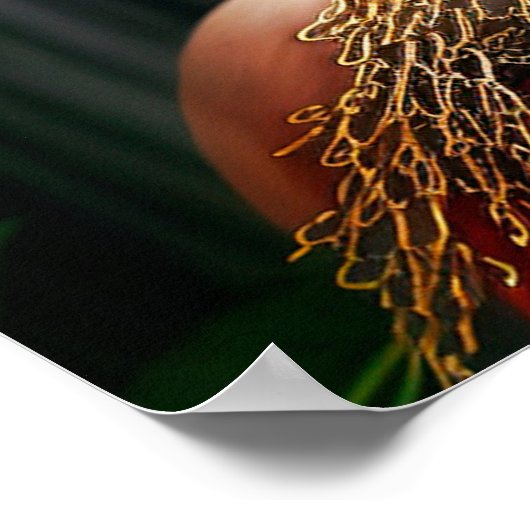 ジャクウェシアのポスター時代に ポスター (角)