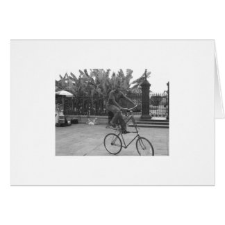 ジャクソンの正方形の実行者