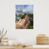 ジャクソンカメレオン ポスター (キッチン)