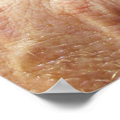 ジャクソンカメレオン ポスター (角)