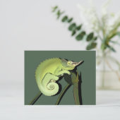 ジャクソンカメレオン ポストカード (スタンド正面)