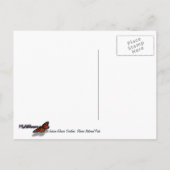 ジャクソングレイシャーオーバービューアットグレイシャーナショナルパーク ポストカード (裏面)