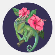 ジャクソンズカメレオンとハイビスカス