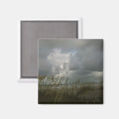 ジャクソンビルビーチFLマグネット マグネット (正面/裏面)