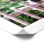 ジャクソンビル動物園 ポスター (角)