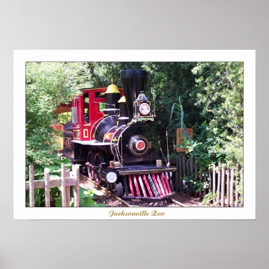 ジャクソンビル動物園 ポスター (正面)