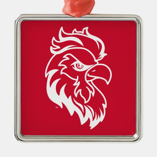 ジャクソンビル州ユニバーシティホリデー メタルオーナメント (正面)