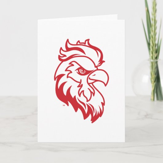 ジャクソンビル州大学ガメコックスレッドイーグル カード (正面)