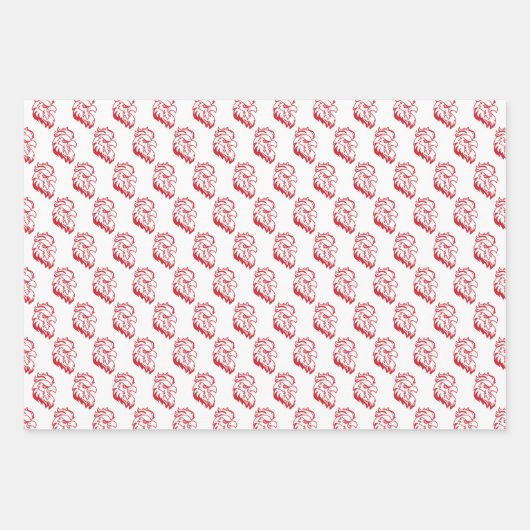 ジャクソンビル州大学ガメコックスレッドイーグル ラッピングペーパーシート (正面)