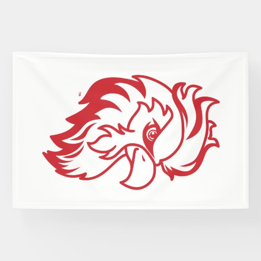 ジャクソンビル州大学ガメコックスレッドイーグル 横断幕 (横)