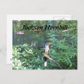 ジャクソンホルンビル ポストカード (正面/裏面)