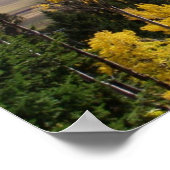 ジャクソンホールシリーズ ポスター (角)