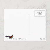 ジャクソンレイクダムリフレクションイングランドテトンパーク ポストカード (裏面)