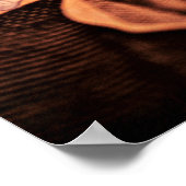 ジャクソン大統領 ポスター (角)