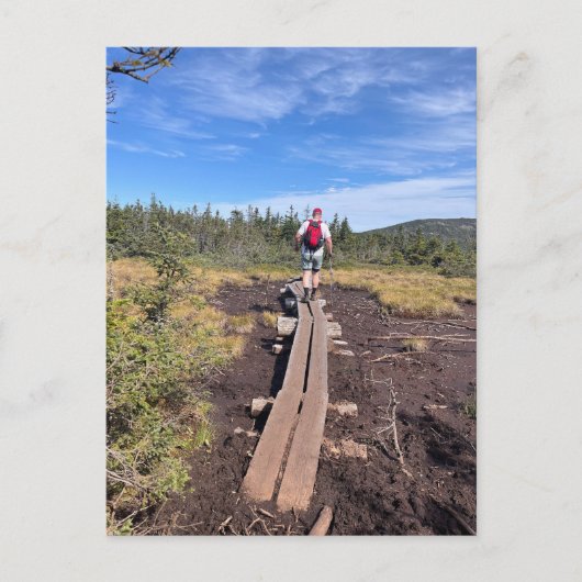 ジャクソン山とピアシング山沼橋葉書 ポストカード (正面)