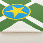 ジャクソン市国旗（ミシシッピ） シェルパブランケット (3/4)