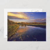 ジャクソン近くのビッグホール川を最後の光で ポストカード (正面/裏面)