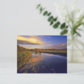 ジャクソン近くのビッグホール川を最後の光で ポストカード (スタンド正面)