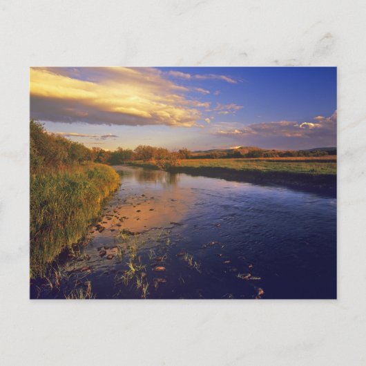 ジャクソン近郊の大穴川 ポストカード (正面)