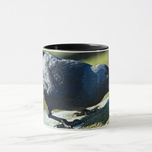 ジャクダウ マグカップ (中央)