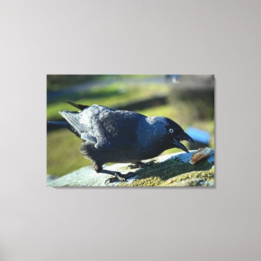 ジャクダ食べー キャンバスプリント (正面)