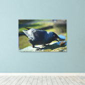 ジャクダ食べー キャンバスプリント (インサイチュ (ウッドフロア))