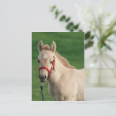 ジャク ポストカード (スタンド正面)