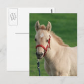 ジャク ポストカード (正面/裏面)