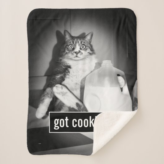 ジャグから牛乳を飲む猫 シェルパブランケット (正面)
