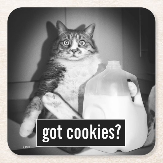 ジャグから牛乳を飲む猫 スクエアペーパーコースター (正面)