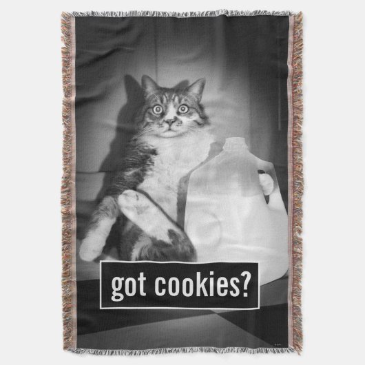 ジャグから牛乳を飲む猫 スローブランケット (正面縦)