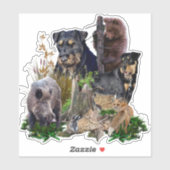 ジャグテリアアパッチv.レンブラッド。 シール (シート)