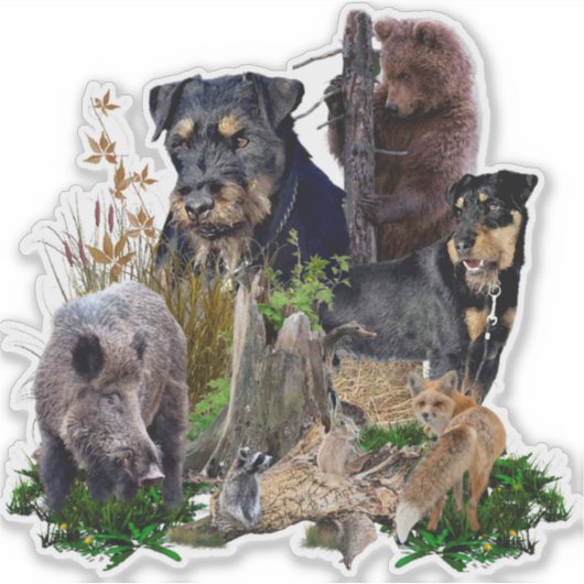 ジャグテリアアパッチv.レンブラッド。 シール (正面)