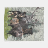 ジャグテリアステッカー屋外枕 フリースブランケット (正面(横))